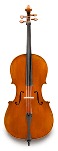 Eastman VC502 "Pietro Lombardi" Cello Eastman VC502 "Pietro Lombardi" Cello