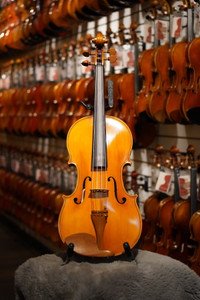 Amber Strings Bernardo Bosio Viola Amber Strings Bernardo Bosio Viola