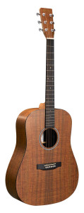 Martin D-X1E - Acoustic-Electric Guitar