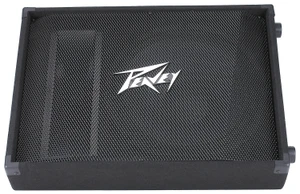 Peavey PV 15M 2-Way Floor Monitor