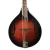 Morgan Monroe - MM-550A- Deluxe A Style - Mandolin