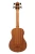 Kala Bakithi Kumalo Signature Acoustic-Electric U-BASS