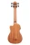Kala Journeyman Acoustic-Electric U-BASS with F-Holes