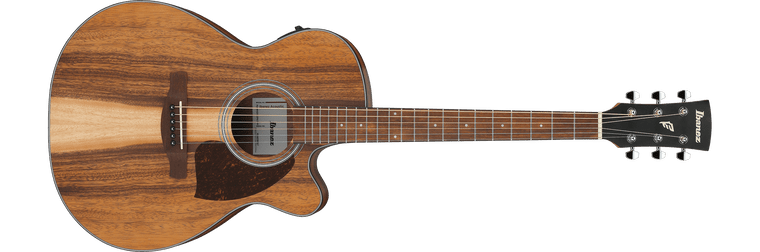 Ibanez PC50WSCE - Acoustic-Electric Guitar - Open Pore Brown