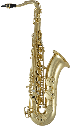 Amazon | セルマー SELMER アルトサックスマウスピース S90 180