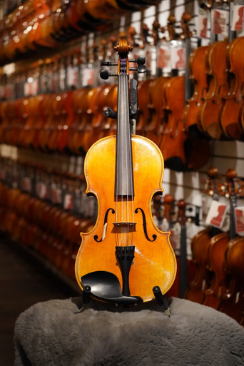 Amber Strings SU-521 Viola - Milano Music Center
