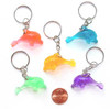 Dolphin Key Chains