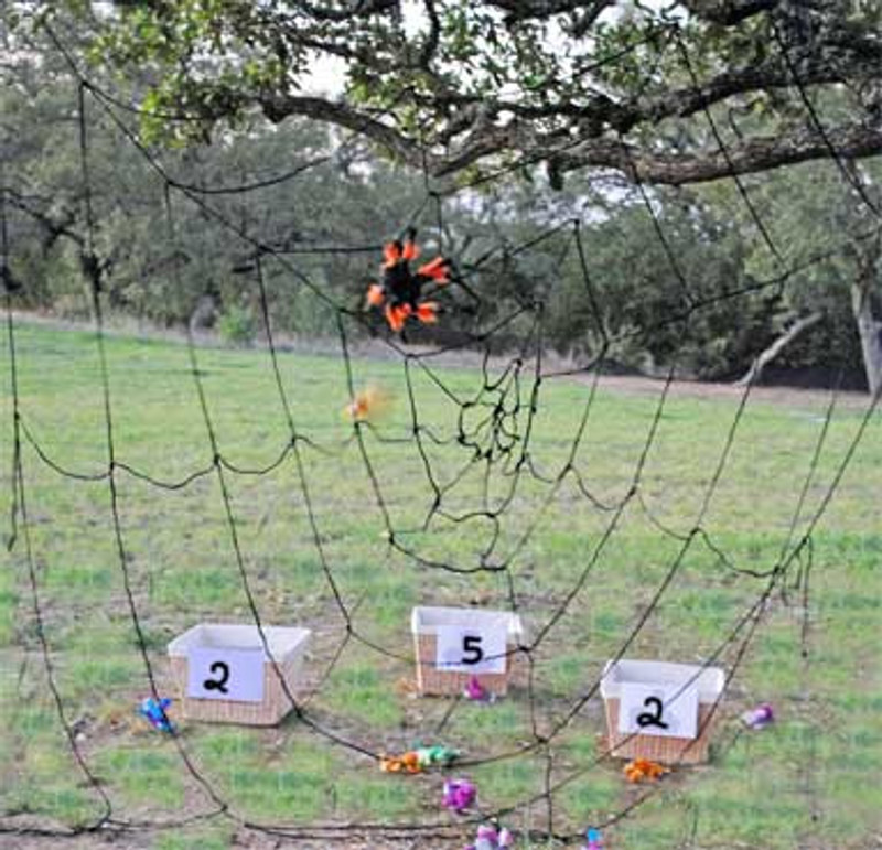 giant spider web decoration