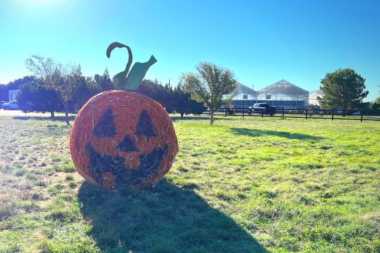5 Last-Minute Fall Festival Ideas to Make Your Event a Hit!
