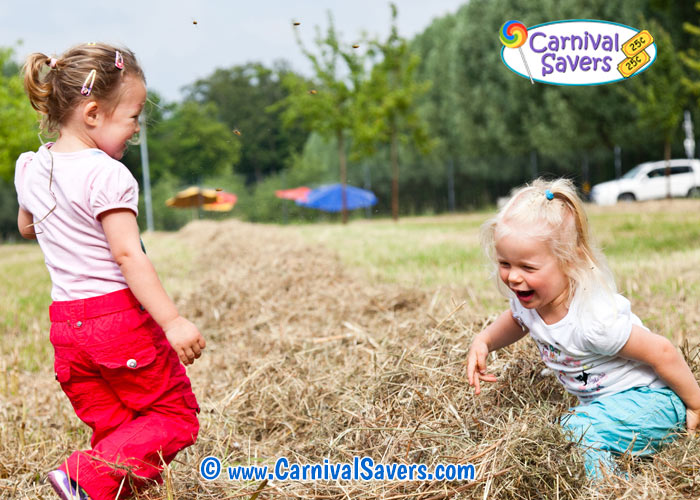 hay-stack-find-fall-festival-game-idea.jpg