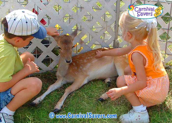 petting-zoo-carnival-game-activity.jpg