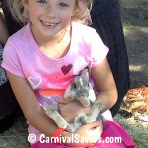 petting-zoo-little-girl-with-a-bunny.jpg