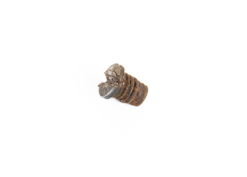 Enfield #1 MK III Rear Sight Spring Retaining Screw
