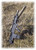 Monastor 101 12GA Bullpup Black Shotgun