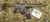 Monastor 102 Dark Earth 12ga Semi Auto Shotgun