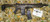 Monastor 102 12GA Battle Worn Bronze Semi-Auto Shotgun