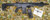 Monastor 102 Battle Worn Blue Semi Auto Shotgun 12ga