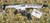 Monastor 102 12GA  White Semi-Auto Shotgun