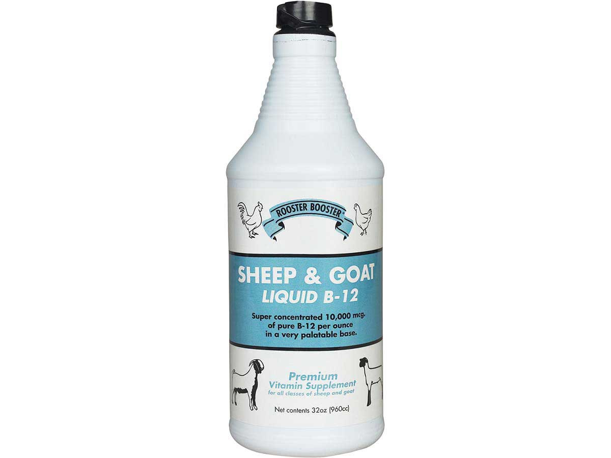 vitamin b12 injection for goats Sheep Goat Liquid B-12 Treat Fish Tapeworm