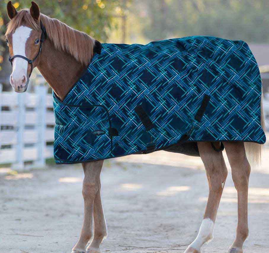 Signature Adjustable Yearling Turnout Horse Blanket Kensington - Valle