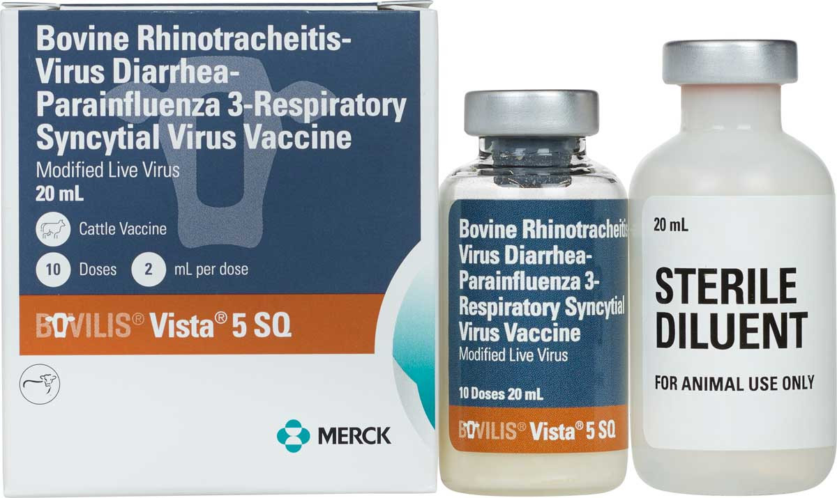 Bovilis Vista 5 SQ Cattle Vaccine Merck - Valley Vet Supply | Cattle V