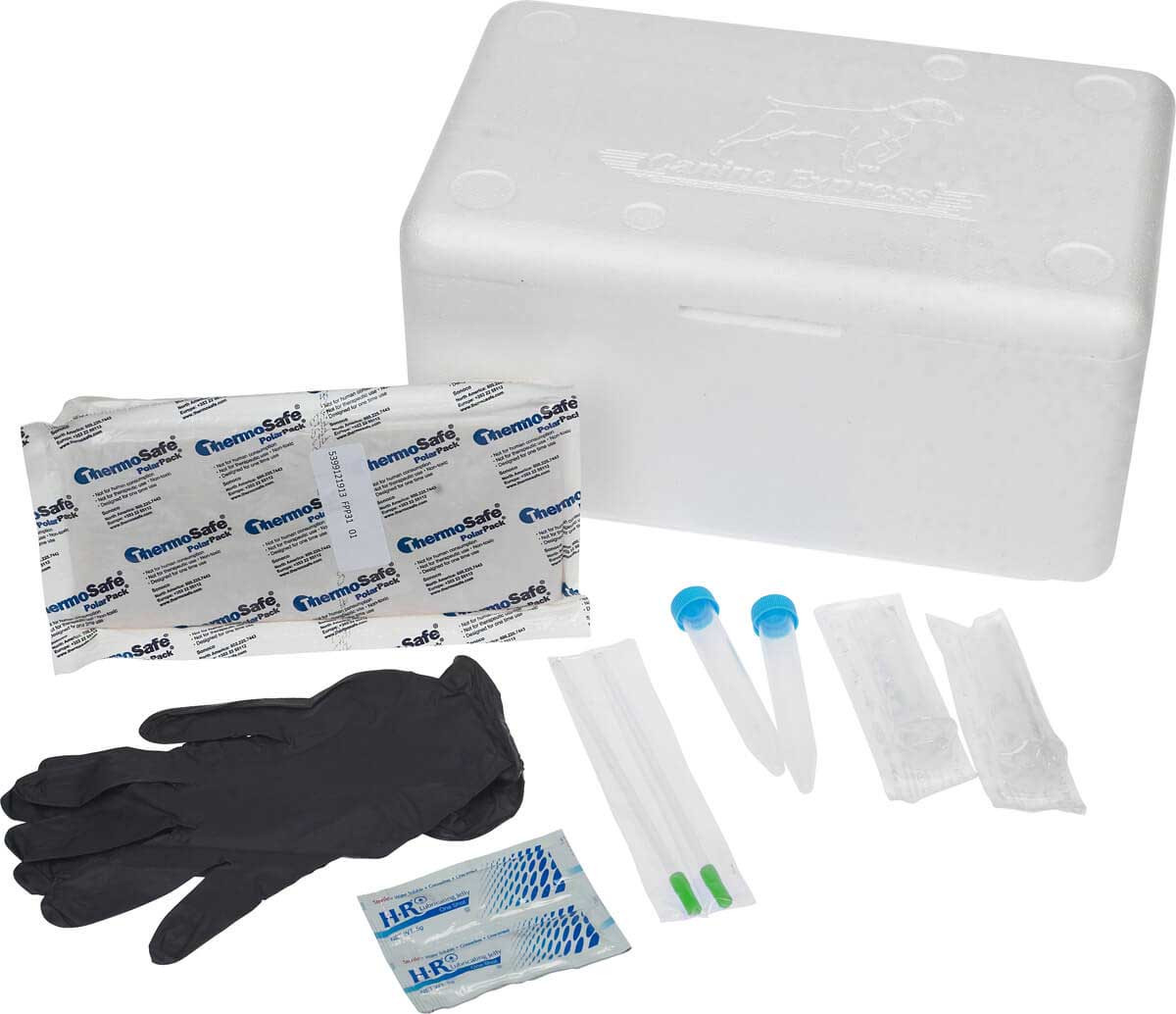 Canine Express Semen Shipping Kit Exodus - Valley Vet Supply | Health