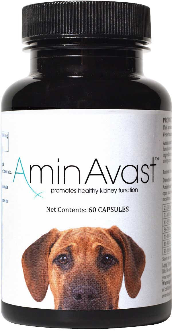 AminAvast Kidney Support for Dogs and Cats Biohealth Solutions - Valle