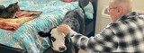 A Calf Named Spuds Brings Smiles