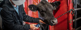 A Guide for Livestock and Equine Grooming