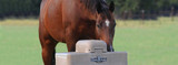 5 Benefits of Automatic Horse Waterers