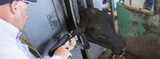 Why Perform Routine Checks on Calf Implants and Cattle Implants?