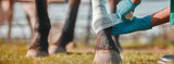 Be Prepared For A Horse Emergency