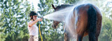 Horse Heatstroke and Exhaustion