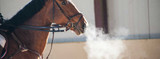 Enjoy a More Serene Ride