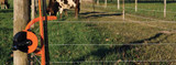 7 Tips Every Electric Fence DIYer Should Know
