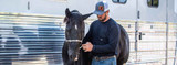 FAQ: Preventing Equine Ulcers Using UlcerGard