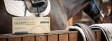 Gastric Ulcers in Horses, Explained