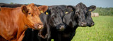 FAQ: Understanding GFI 263