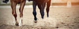 Horse Joint Supplement Comparison Chart