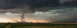 Horses and Natural Disaster Preparation