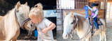 Start Horseback Riding off on the Right Hoof