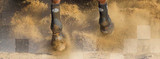 Horse Boots 101: Part 1
