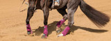Horse Boots 101: Part 2