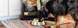 5 Reasons to Talk With Your Veterinarian About Prescription Pet Food