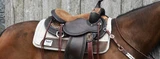Saddle Fit Tips for Your Western Saddle: QA with Circle Y