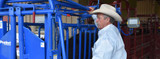 Weighing the Options About Livestock Scale and Cow Scale Systems