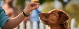 Protection Against Parasites in Dogs, With Simparica Trio