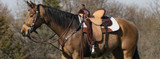 5 Western Saddle QA