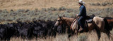 5 Fall Favorites for Horsemen