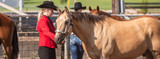 6 Must-haves For Your Next Horse Show